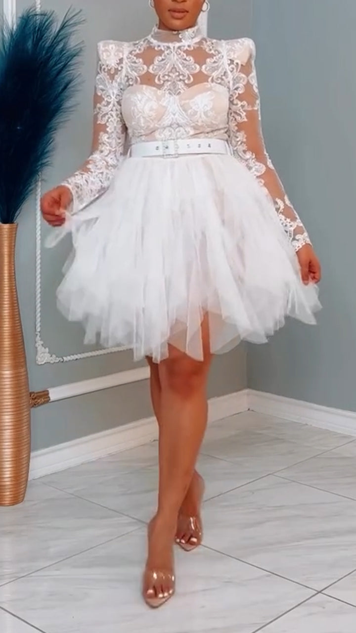 Women Round Neck Lace Print Patchwork Mesh Elegant Temperament Dress